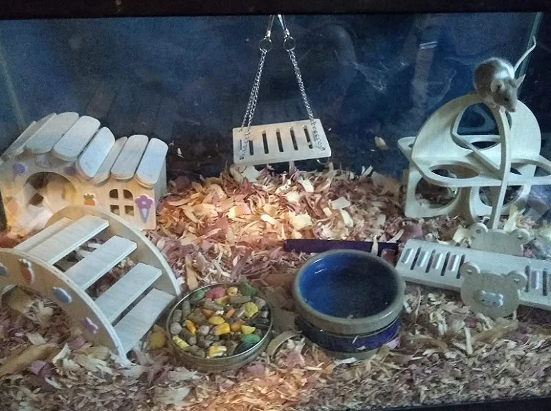 Hamsters House DIY Wooden Gerbil Hideout Bridge
