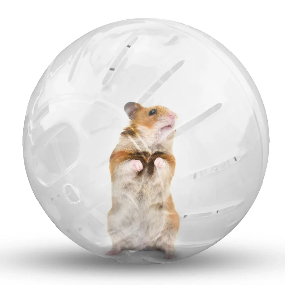 Ball Hamster Exercise Running Ball Toys