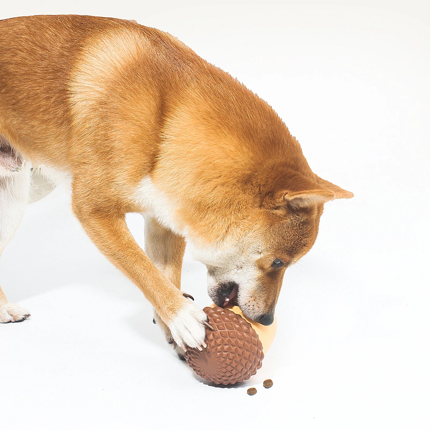 New Dog Toys Leaking Food Ball Funny Interactive Pet Slow Feeder Bowl Puzzle Toy Pet Tooth Cleaning Chew Toys Pet Supplies