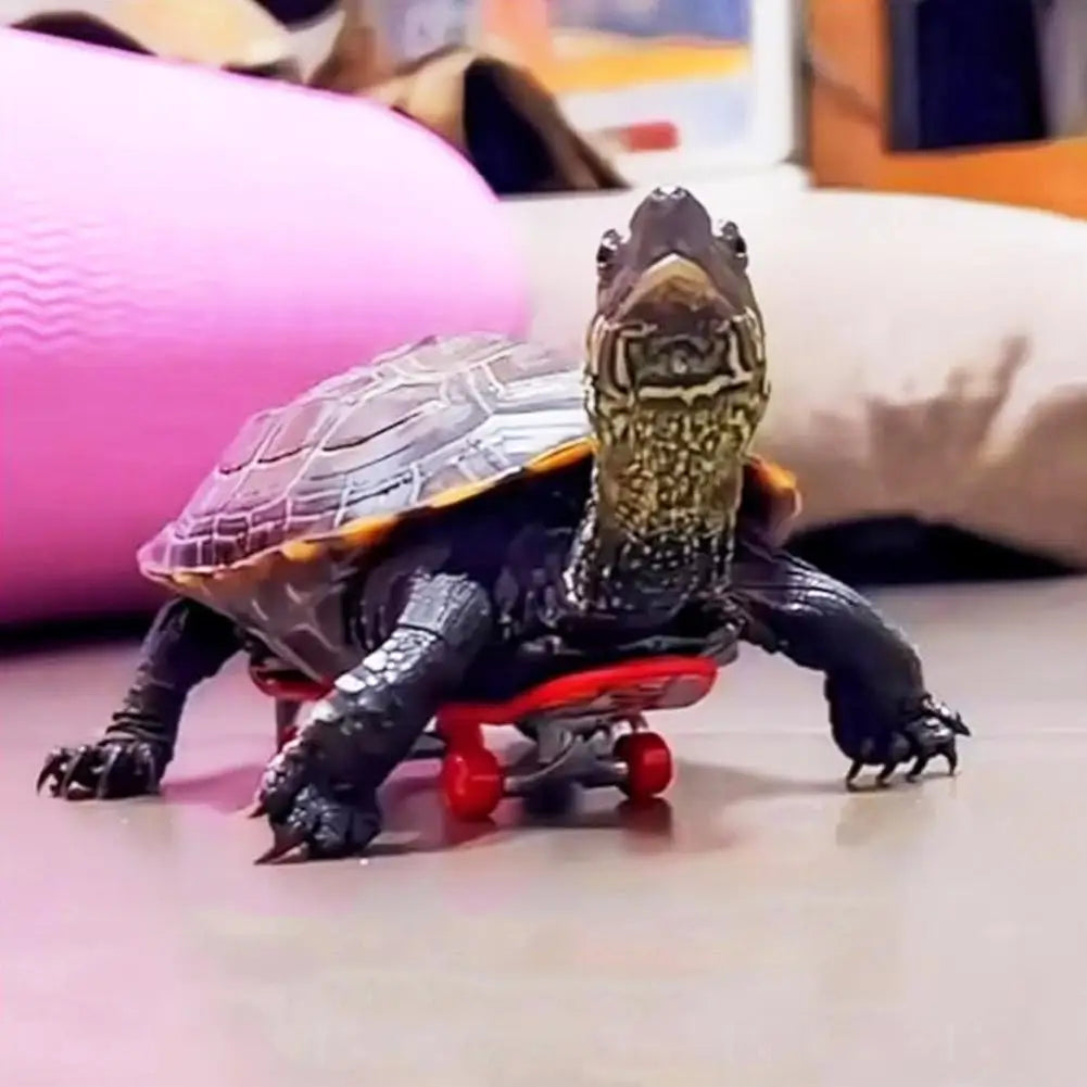 Turtle Skateboard Toys