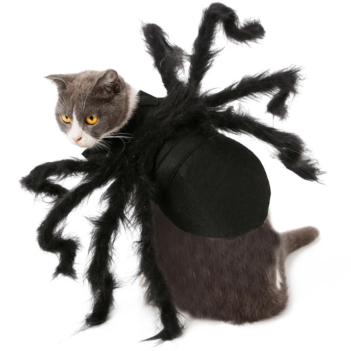 Cat Dog Halloween Bat Wings Costume