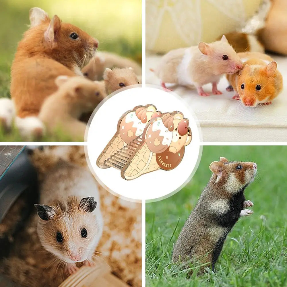 Pet House Play Activity Hamster Cage Hideout Toy