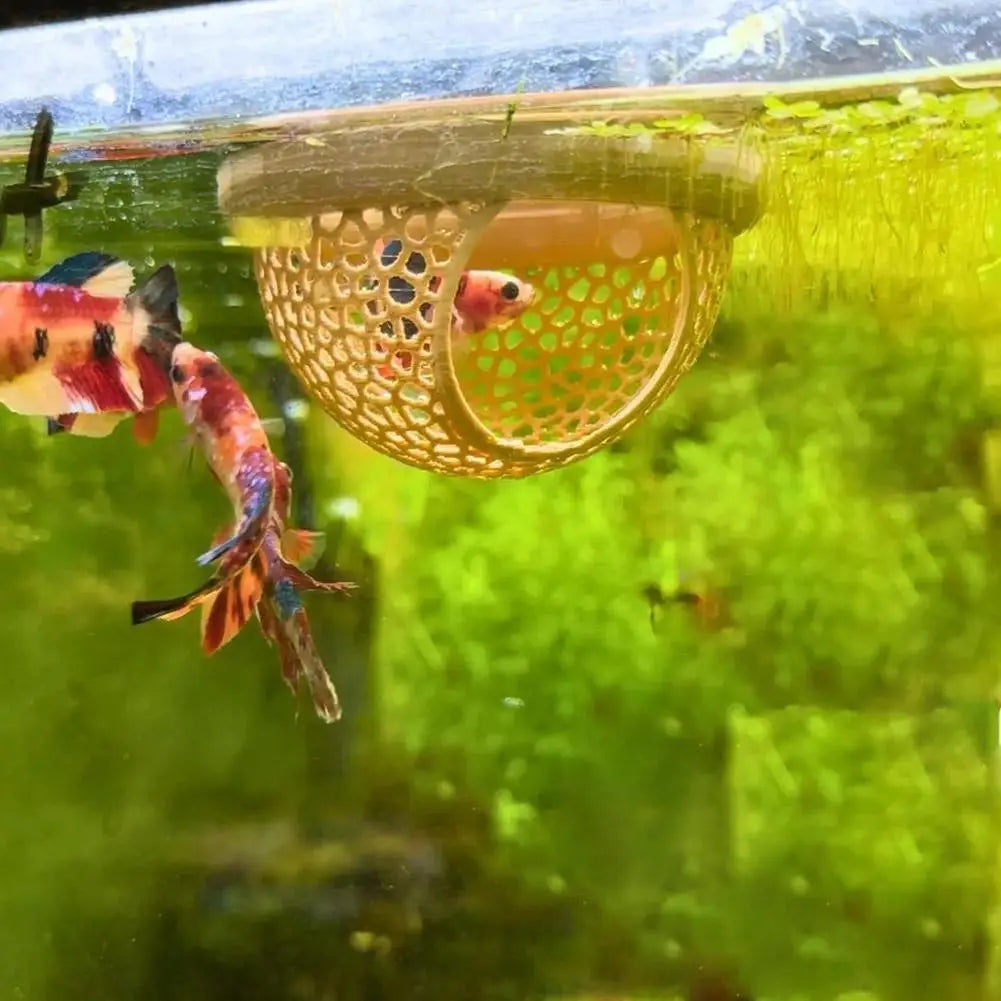 Aquarium Hammock Safe Resting betta cave fish to swin