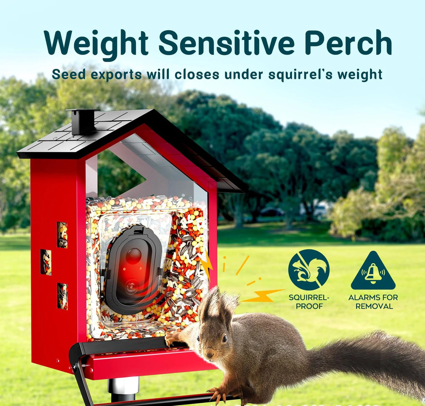 Squirrel Proof Bird Feeder Smart
