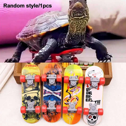 Turtle Skateboard Toys