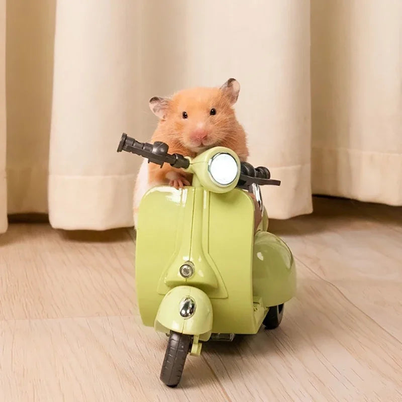Rotating Motorcycle