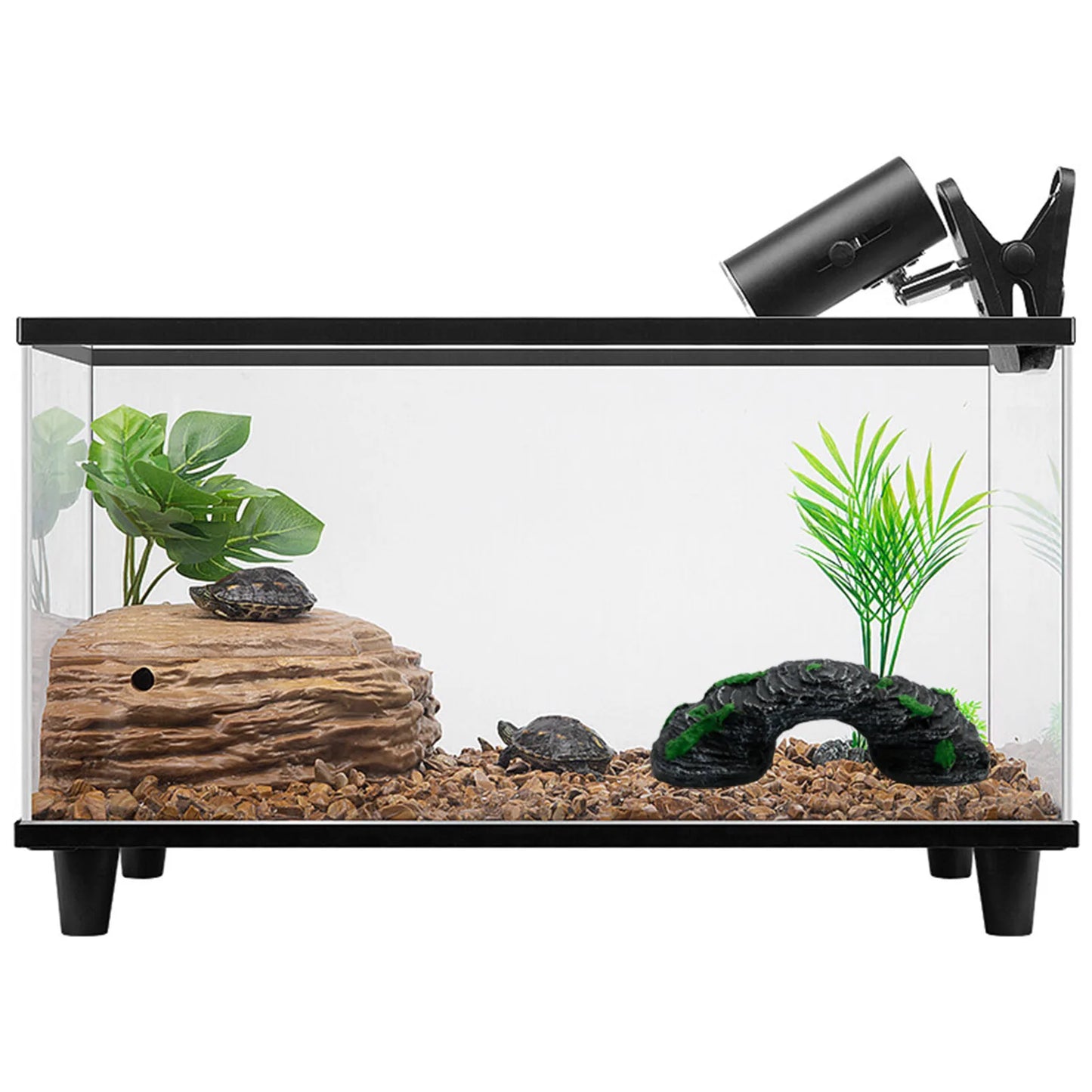 Bridge Aquarium Equipment