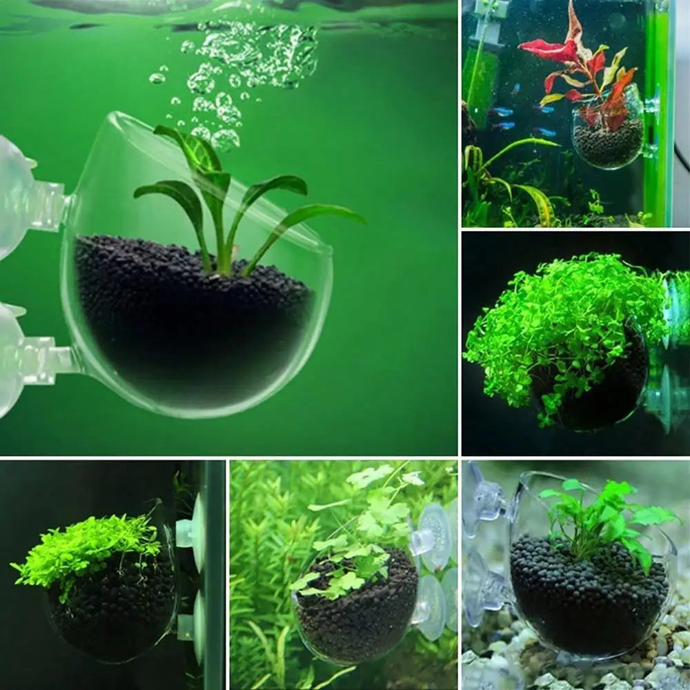 Acrylic Aquatic Plant Cup Aquarium Fish Tank
