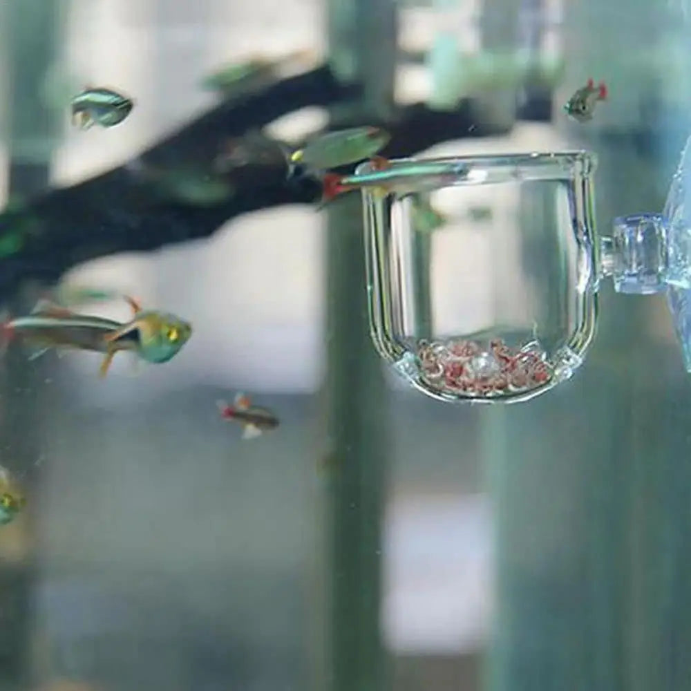 Acrylic Aquatic Plant Cup Aquarium Fish Tank