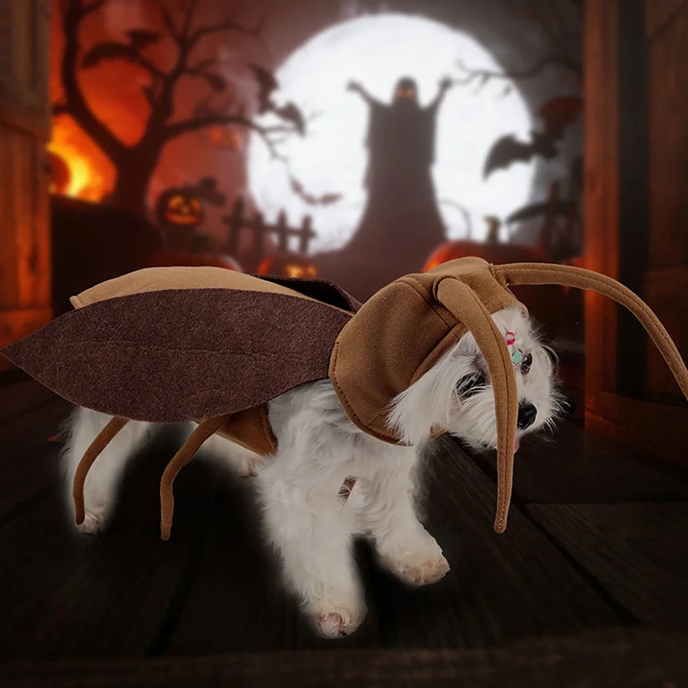 Funny Cockroach Outfit for Cats & Dogs