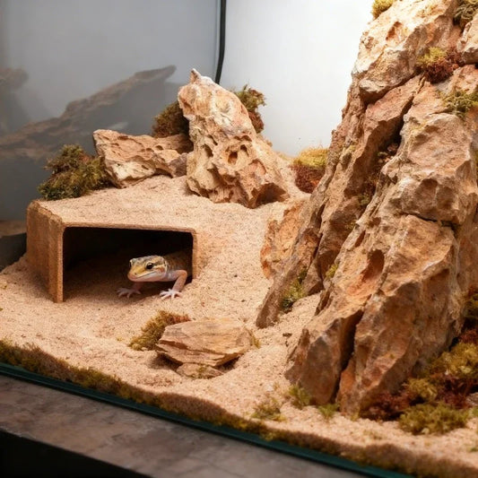 3D Printed Reptile Cave Hideout - Terrarium Decor
