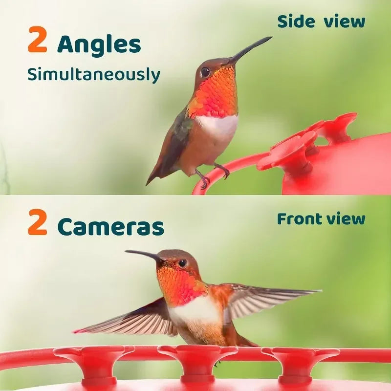 Smart Hummingbird Feeder with HD Cameras Solar Powered AI Bird Recognition Motion Detection Weatherproof 20oz Nectar Reservoir