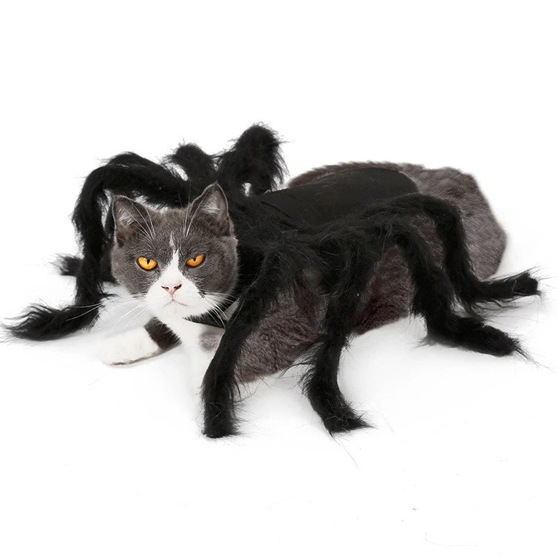 Cat Dog Halloween Bat Wings Costume