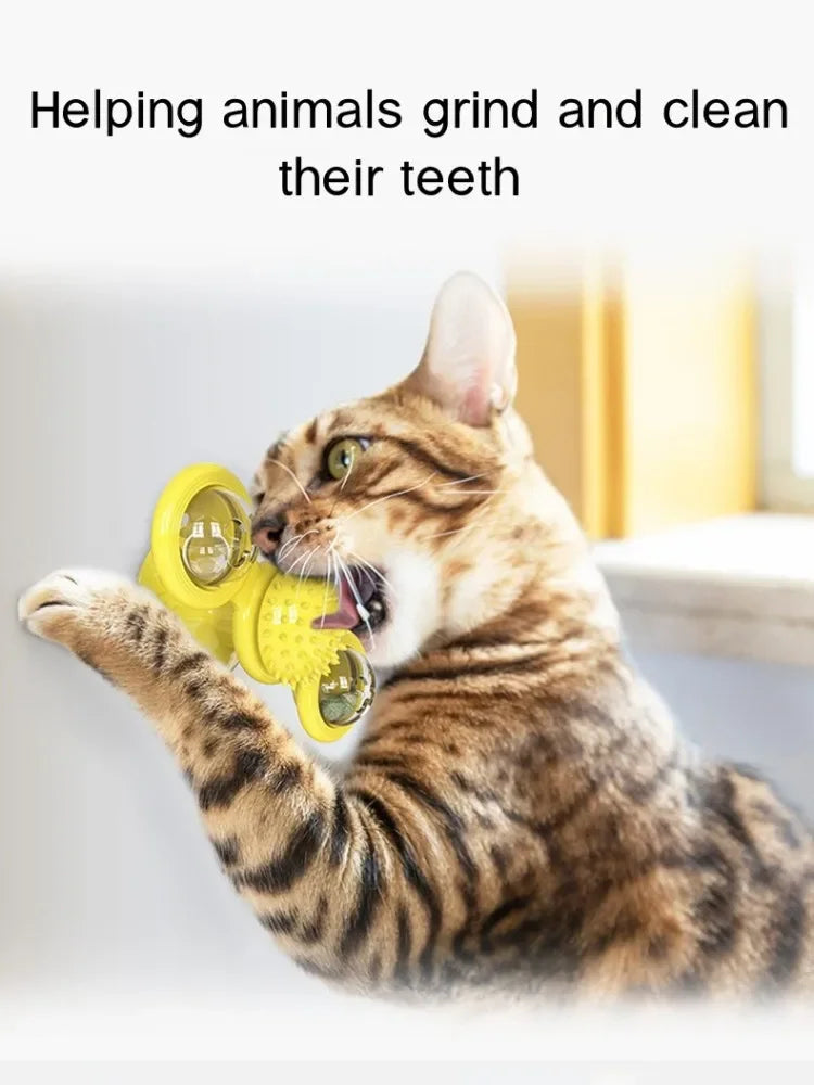 Windmill Cat Toy Interactive Pet Toys for Cats Puzzle Cat Game Toy With Whirligig Turntable for Kitten Brush Teeth Pet Supplies