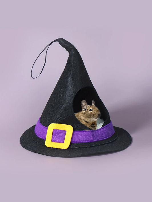 Halloween House Hideout