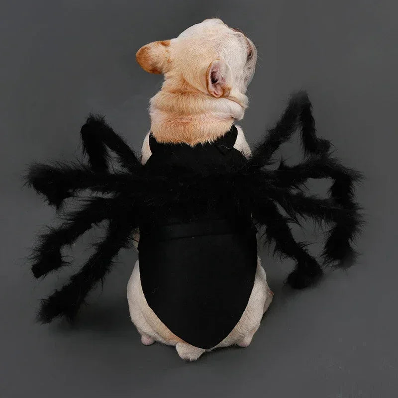 Funny Halloween Pet Spider Outfit