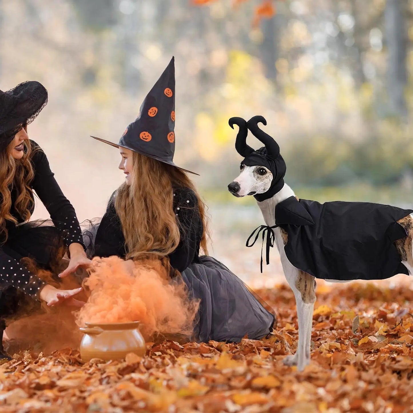 Funny Pet Devil Horns Halloween Hat