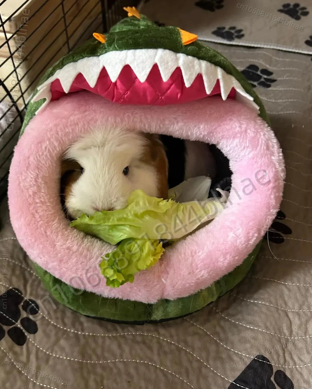 Hamsters Hedgehogs