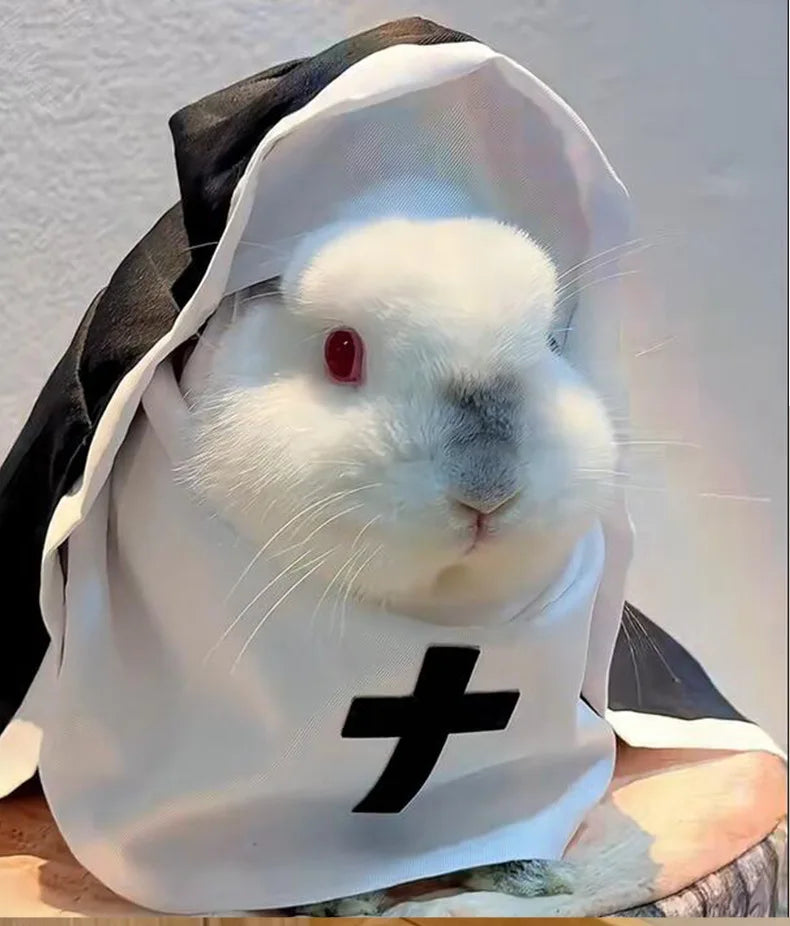 Funny Dog Cat Nun Costume – Halloween Pet Outfit with Cute Cape for Small & Medium Pets