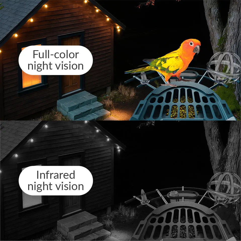 XVIM 3MP WiFi Automatic Smart Bird Feeder Motion Detection Color Night Vision Device  iCSee App Control Sunlight Wildlife Camera