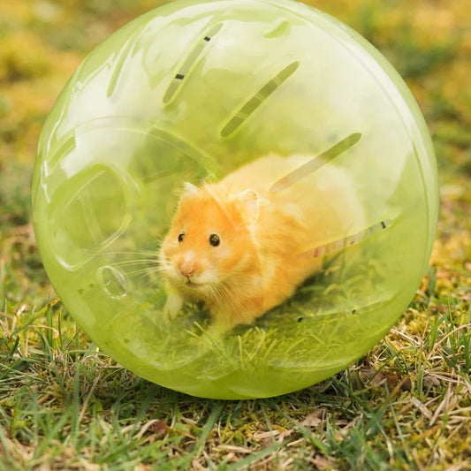 Ball Hamster Exercise Running Ball Toys