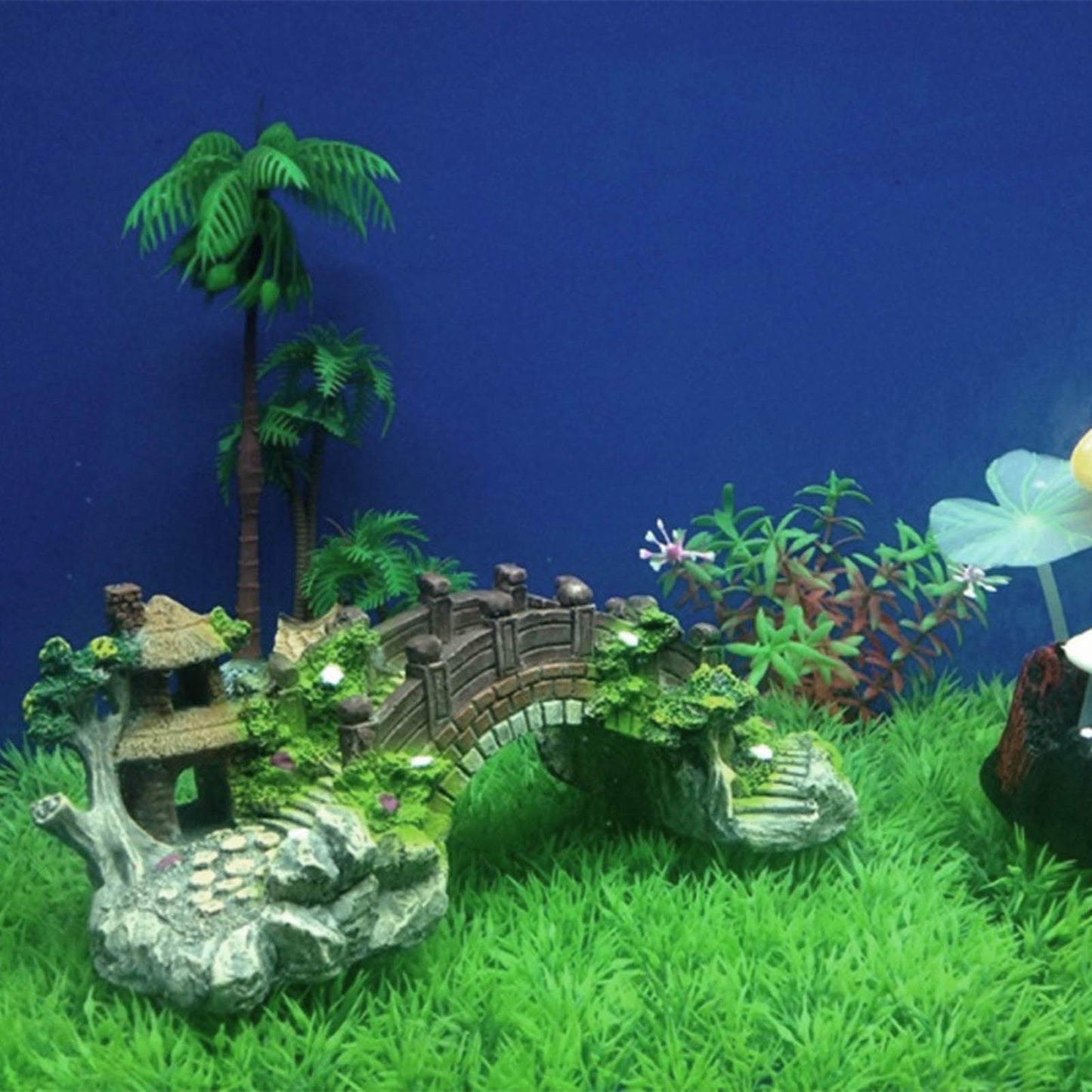 Bridge Aquarium Equipment