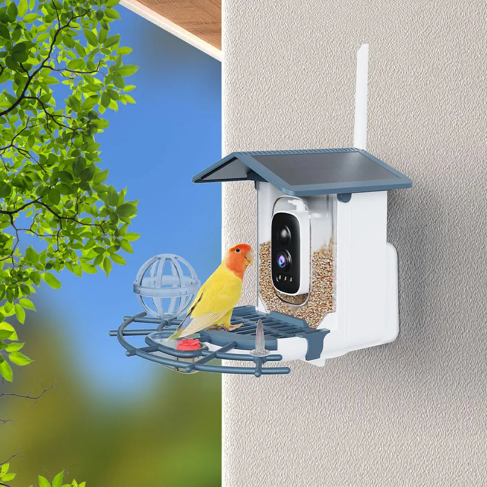 XVIM 3MP WiFi Automatic Smart Bird Feeder Motion Detection Color Night Vision Device  iCSee App Control Sunlight Wildlife Camera