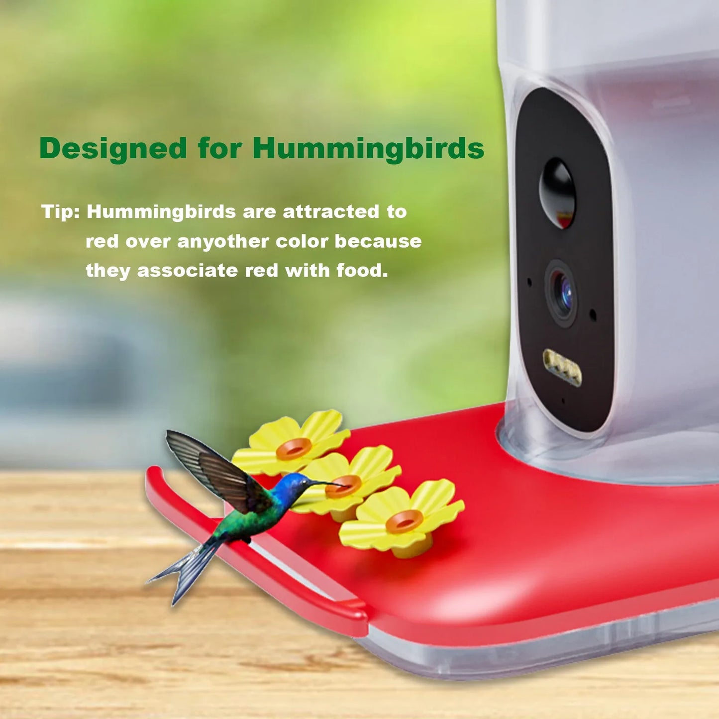 Smart Hummingbird Feeder Bird Pet Feeder Outdoor APP WIFI Ant-proof AI Bird Recognition Camera for Canary Hummingbirds