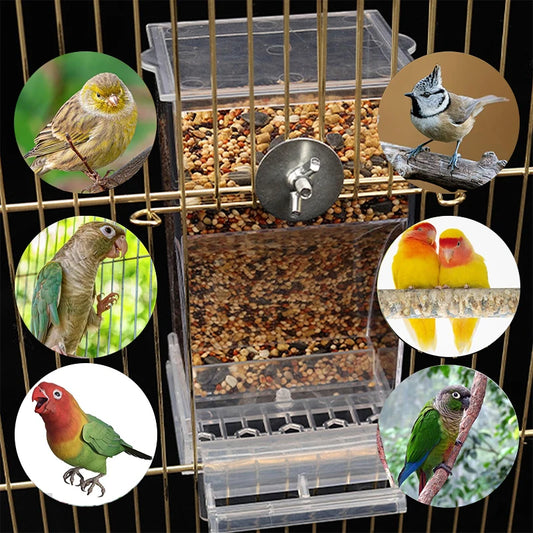 Acrylic No Mess Bird Feeders Automatic