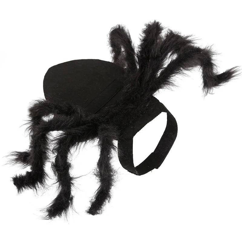 Cat Dog Halloween Bat Wings Costume