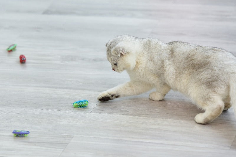 Cat Toys Luminescence Electric Worms Pet Interactions Insects Beetle Micro Worms Automatic Flipping Obstacle Avoidance Plaything