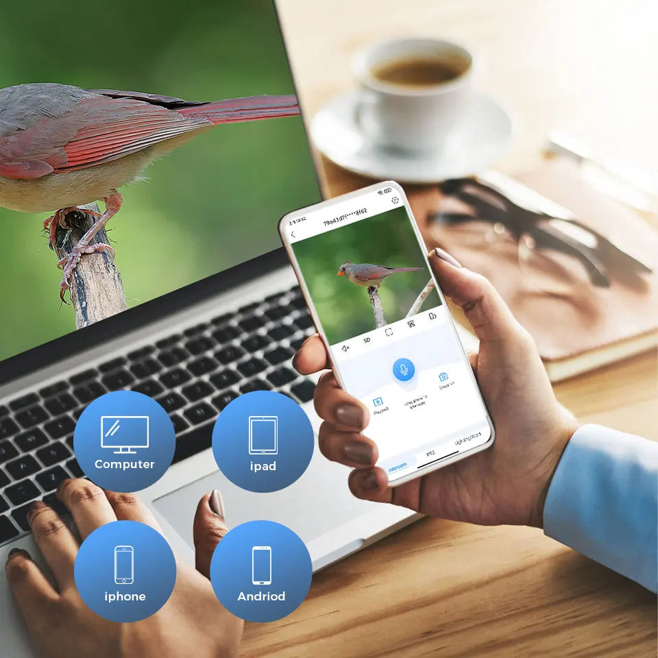 XVIM 3MP WiFi Automatic Smart Bird Feeder Motion Detection Color Night Vision Device  iCSee App Control Sunlight Wildlife Camera