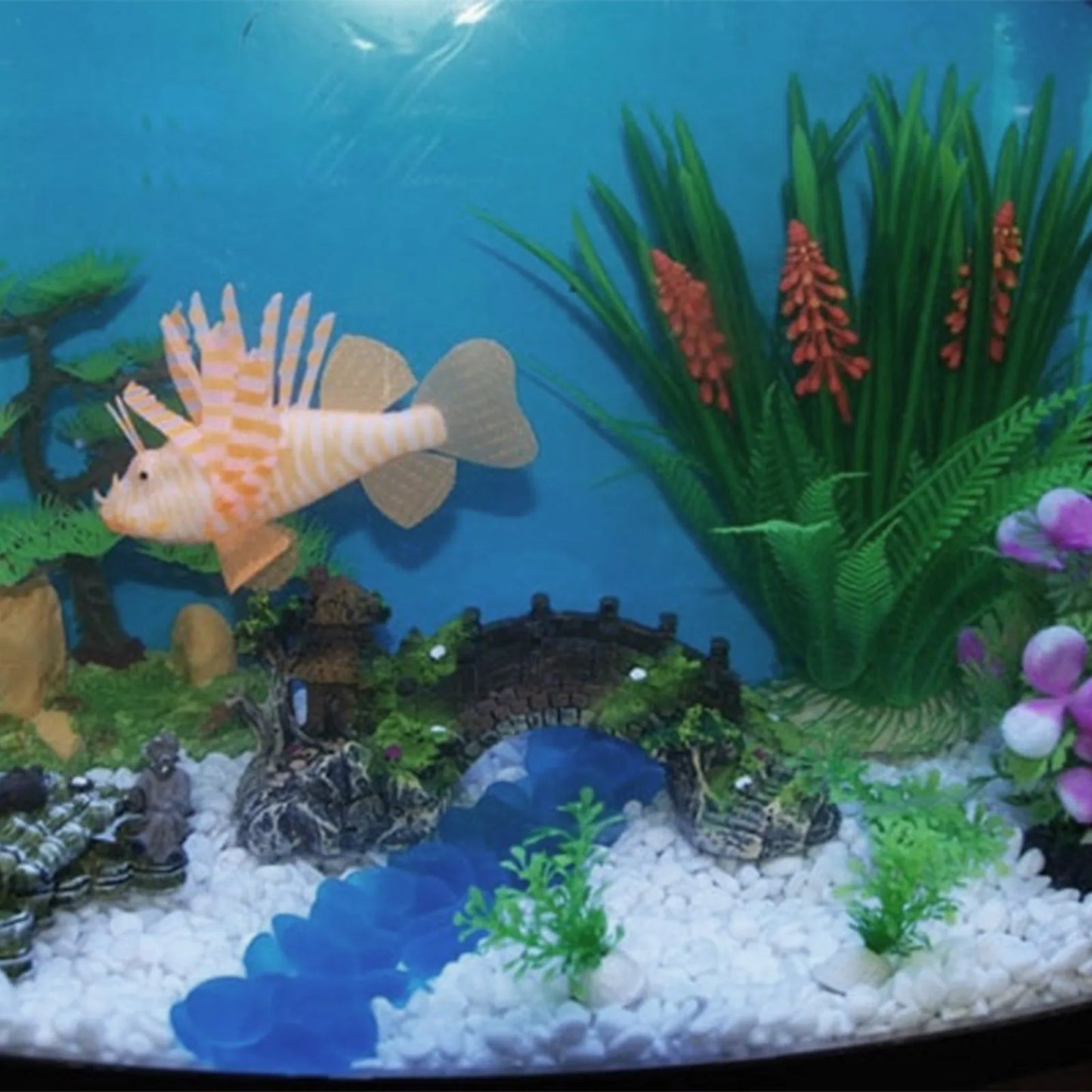 Bridge Aquarium Equipment
