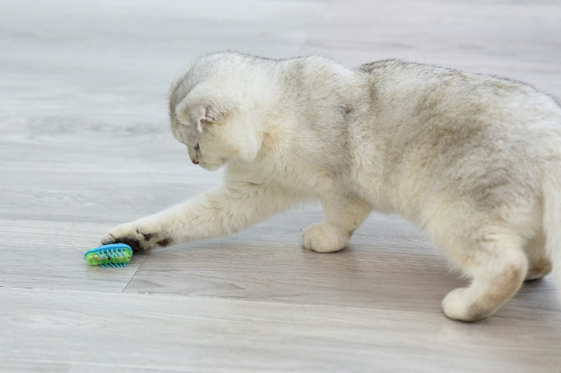 Cat Toys Luminescence Electric Worms Pet Interactions Insects Beetle Micro Worms Automatic Flipping Obstacle Avoidance Plaything