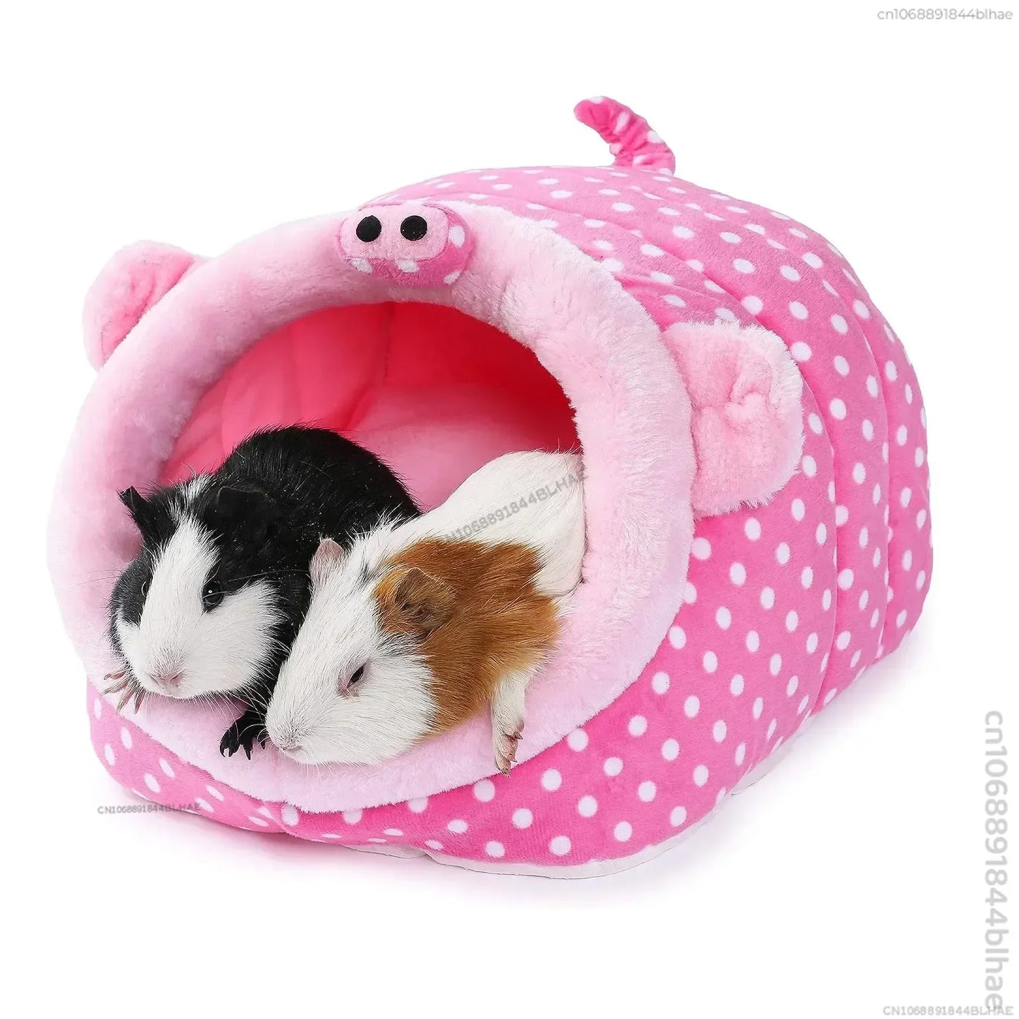 Hamsters Hedgehogs