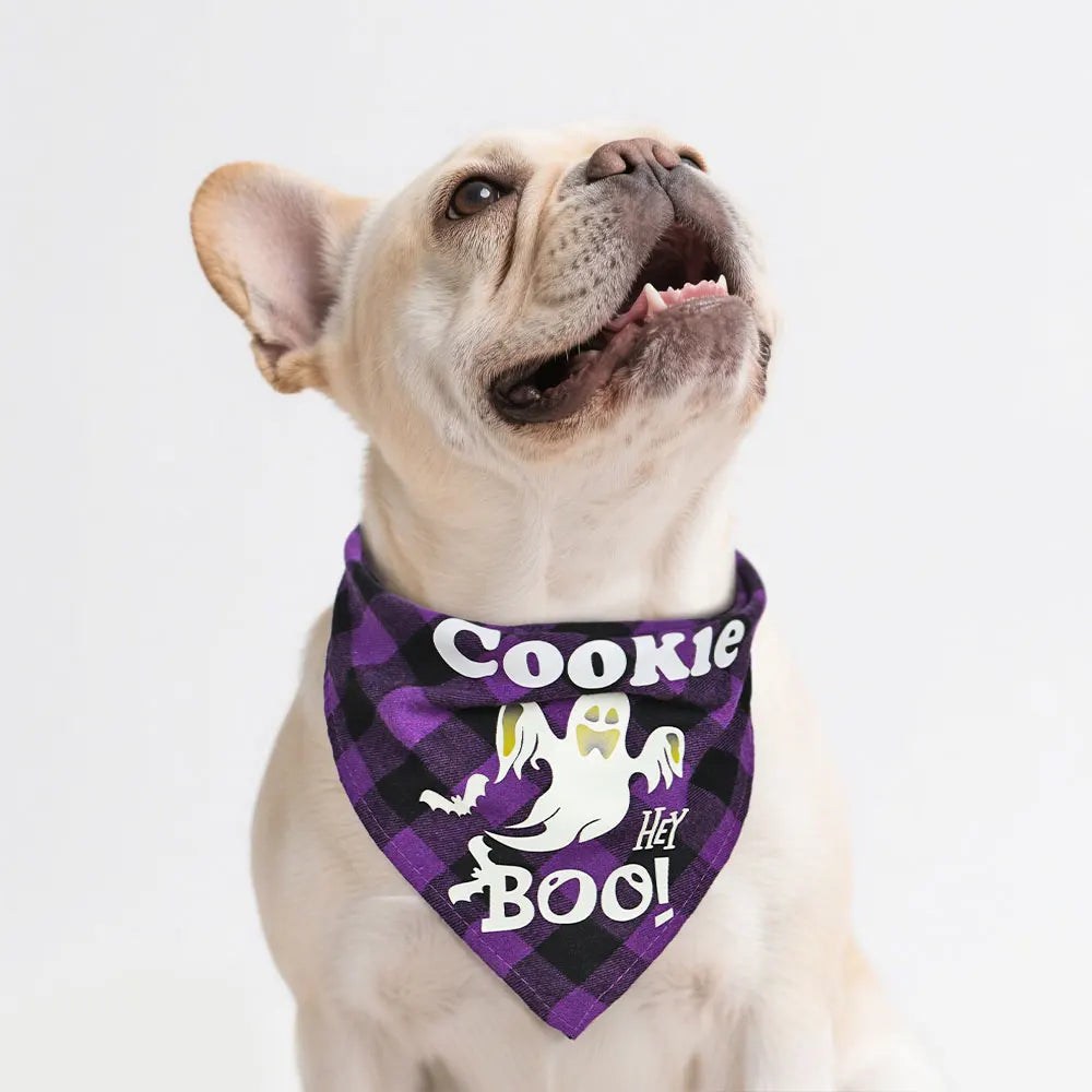 Personalized Dog Halloween Bandana – Reflective Pet Scarf for Night Parties & Safety