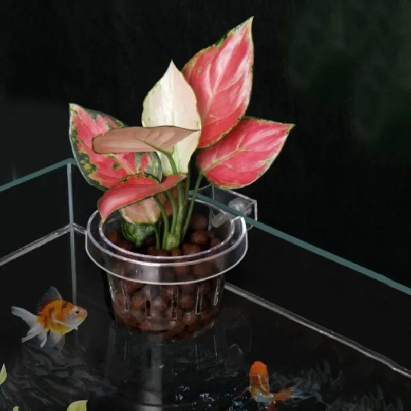 Aquarium Plant Holder Hangable Fish Tank Water Grass Planting Hydroponic