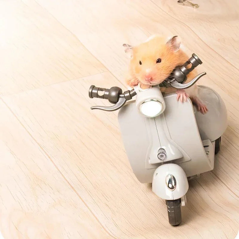 Rotating Motorcycle