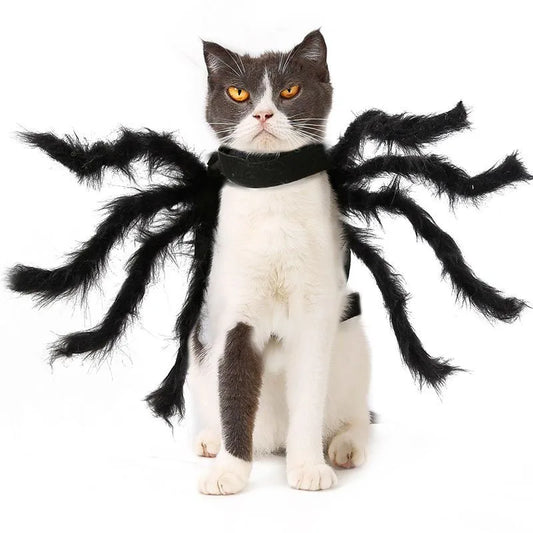 Cat Dog Halloween Bat Wings Costume
