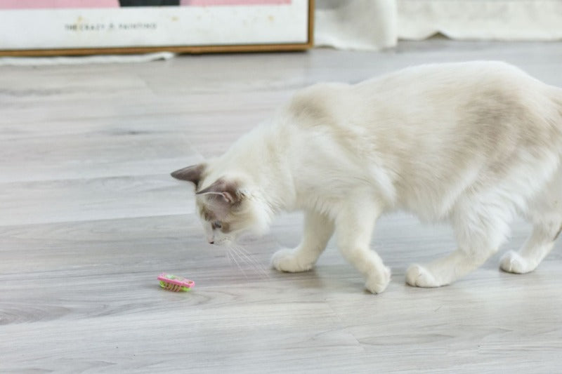 Cat Toys Luminescence Electric Worms Pet Interactions Insects Beetle Micro Worms Automatic Flipping Obstacle Avoidance Plaything