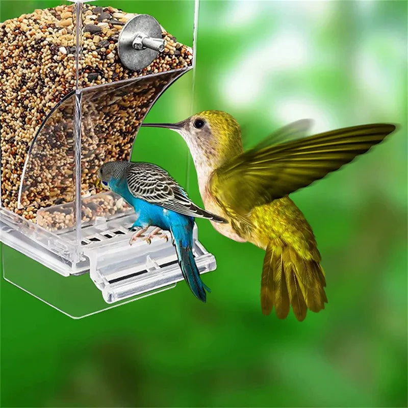 Acrylic No Mess Bird Feeders Automatic