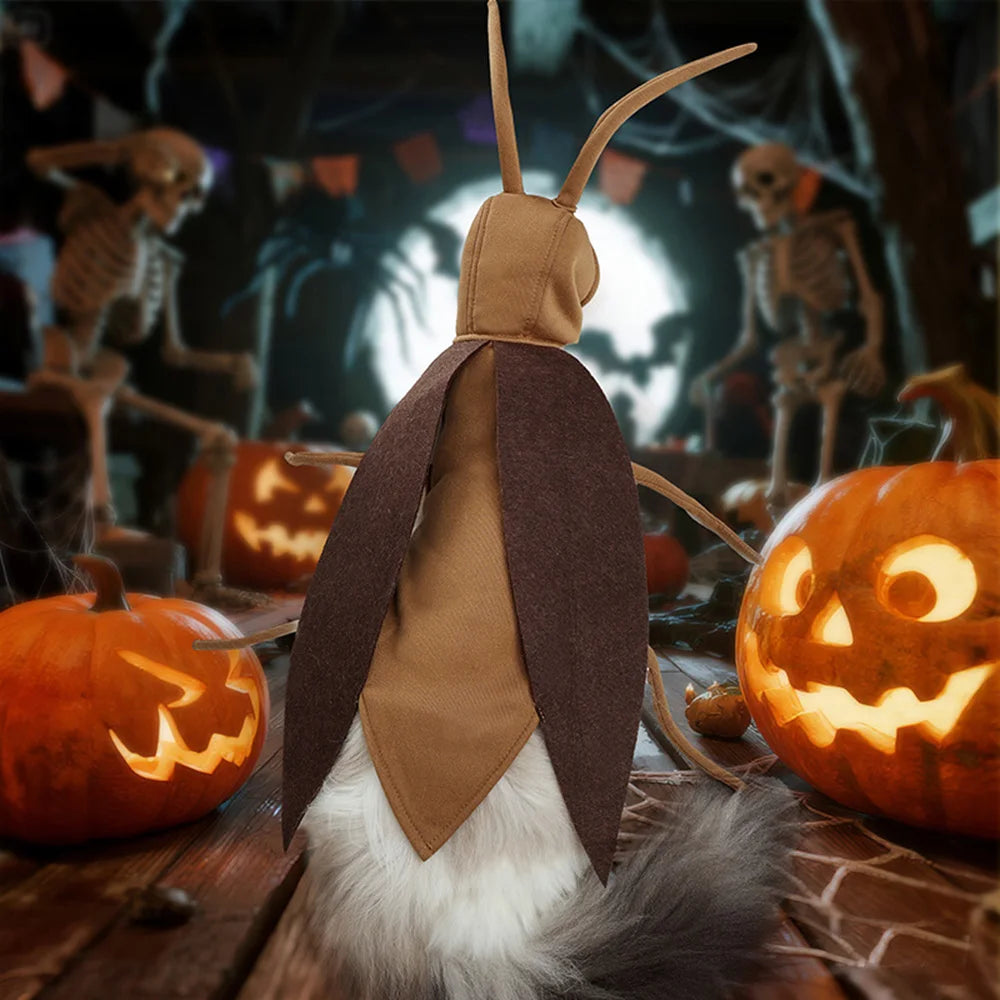 Funny Cockroach Outfit for Cats & Dogs