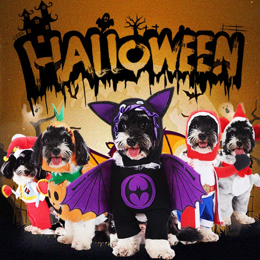Pet Halloween Party Costume with Hat