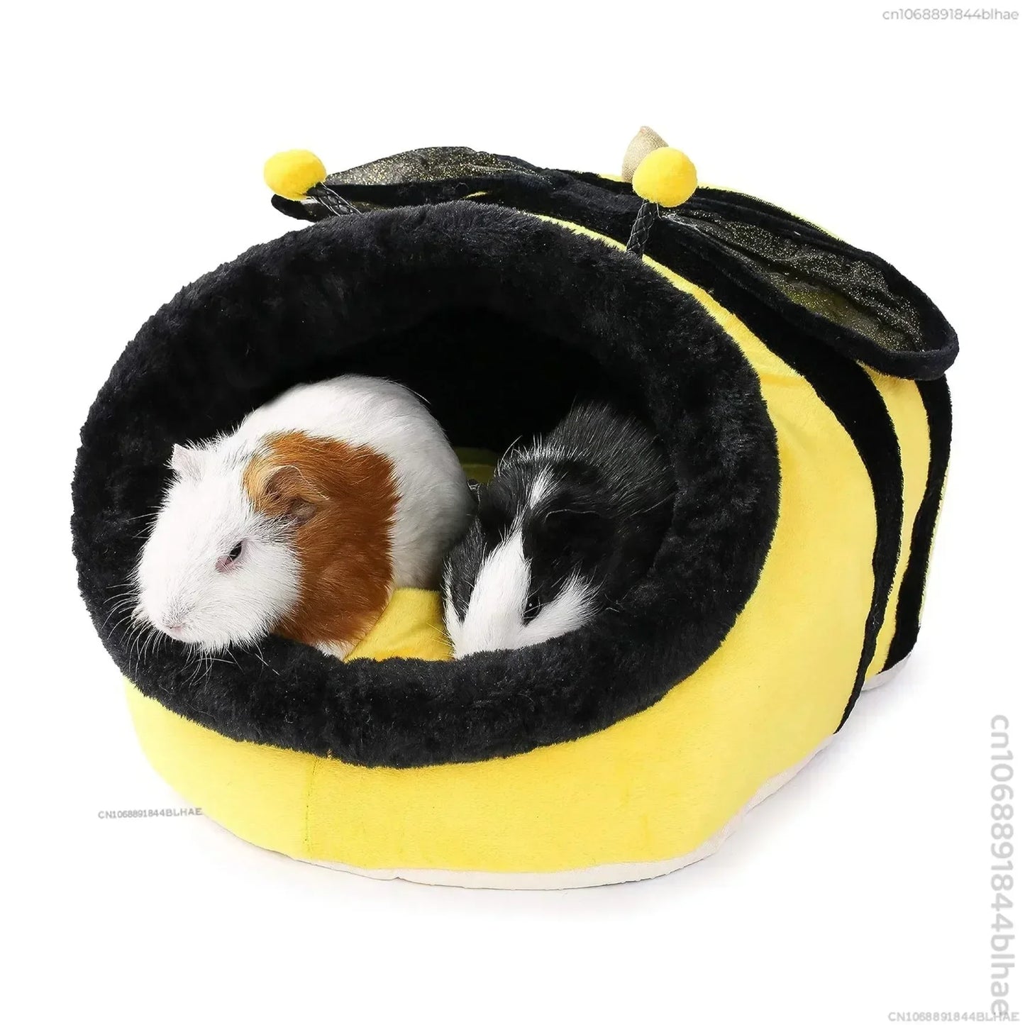 Hamsters Hedgehogs