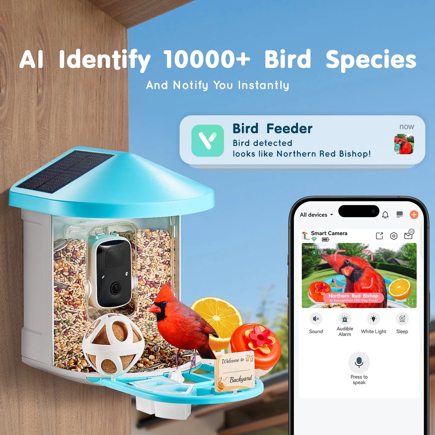 SucceBuy Smart Bird Feeder with Camera