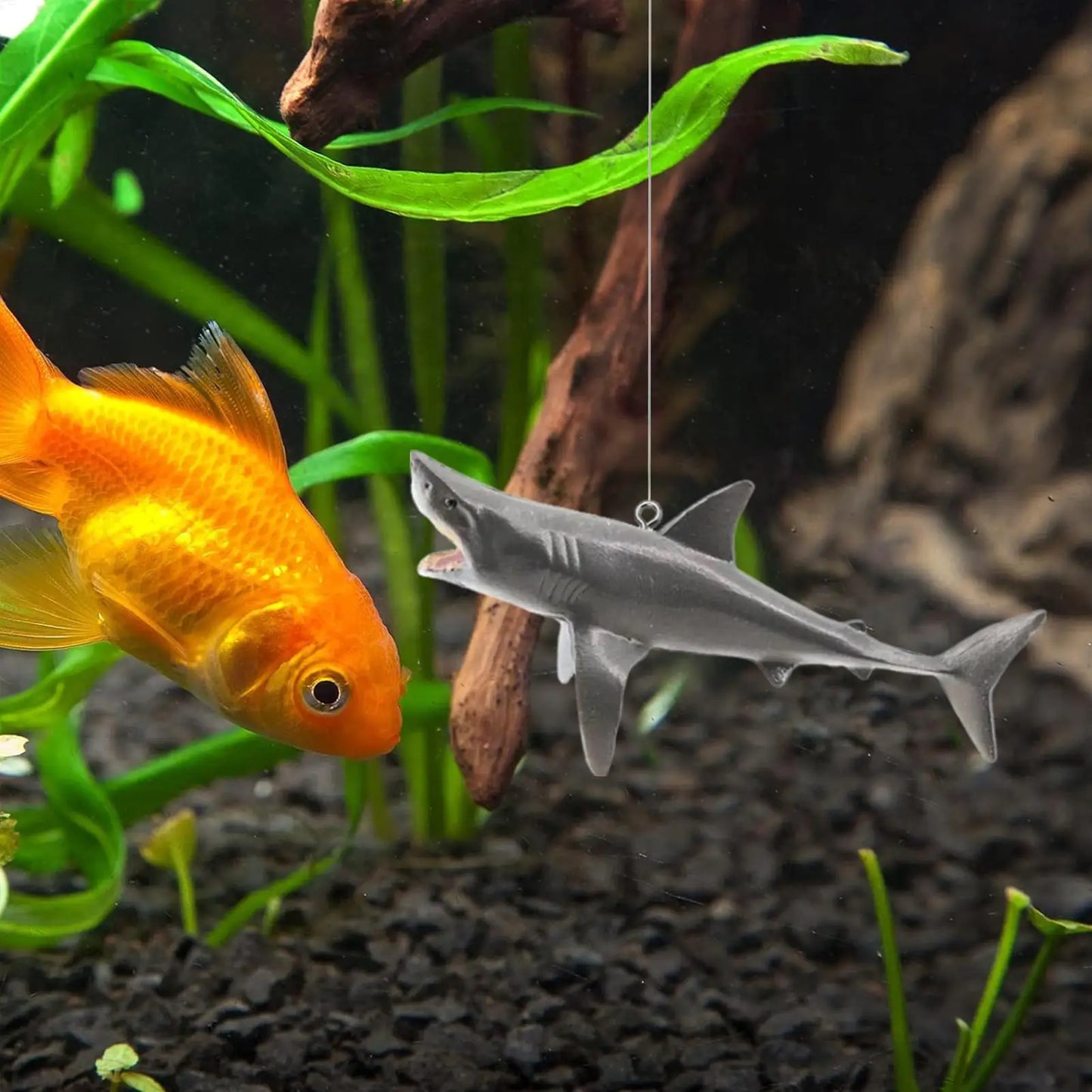 Floating Shark Aquarium Landscape Decoration