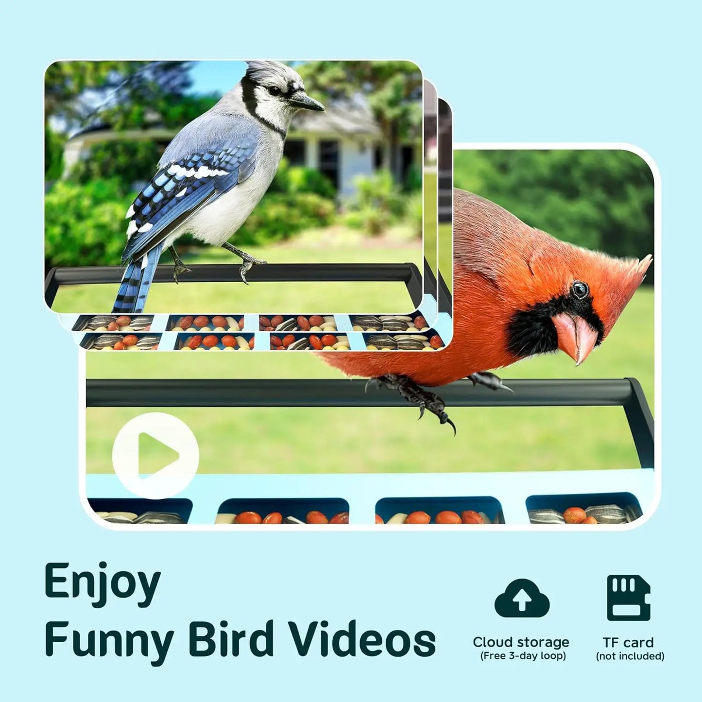 Squirrel Proof Bird Feeder Smart
