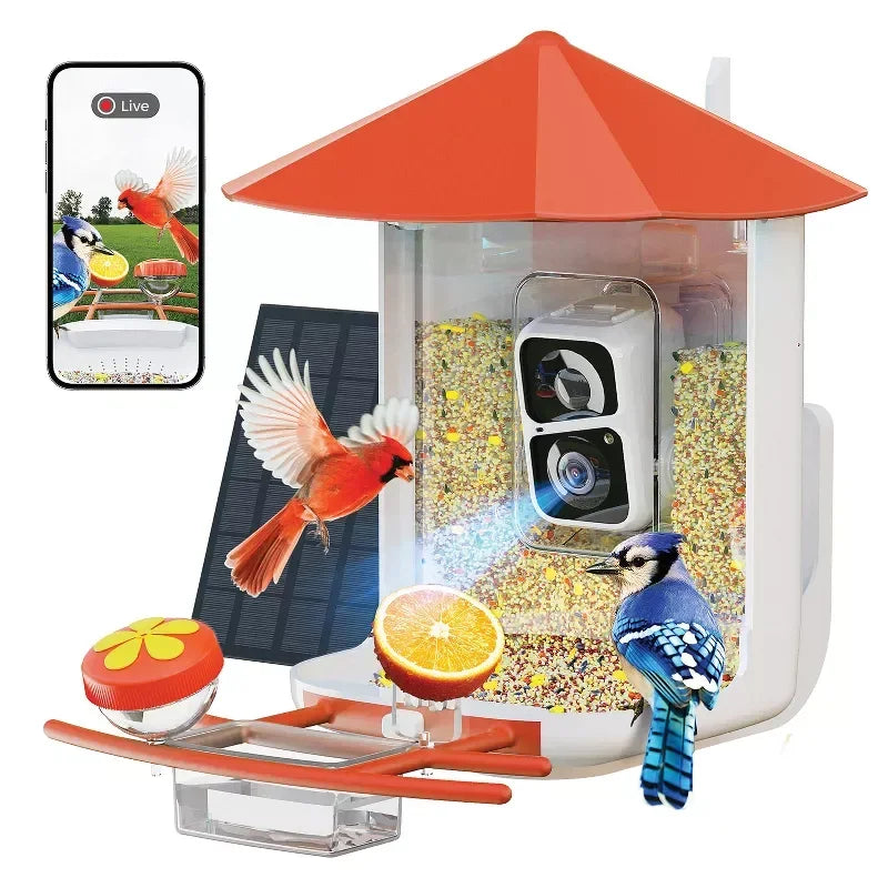 Smart Bird Feeder with Camera 1080P HD AI Bird Identification Solar Powered Night Vision 2 Way Audio Waterproof IP65 for Outdoor