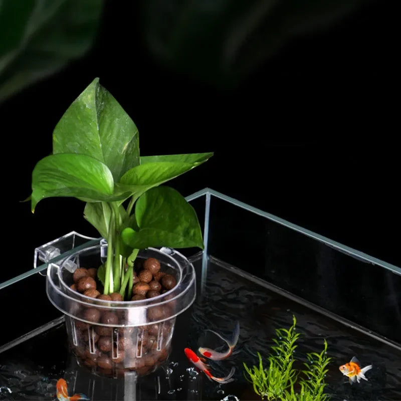 Aquarium Plant Holder Hangable Fish Tank Water Grass Planting Hydroponic