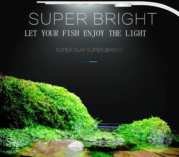 Aquatic Plant Lighting Waterproof Clip-on Lamp For Fish Tank Plants Grow Light